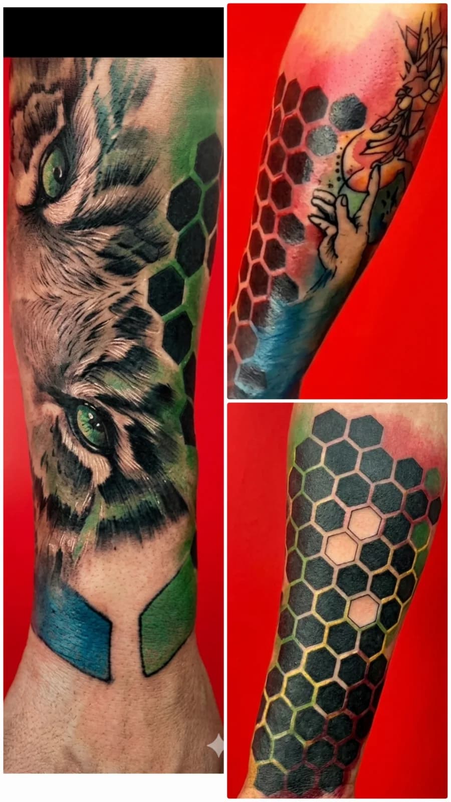 Work by Hamed jahangiri
