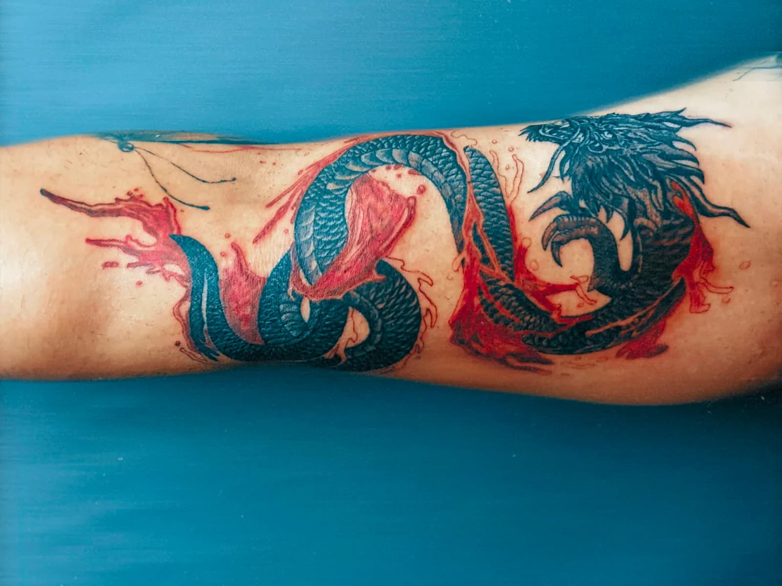 tattaugraph
