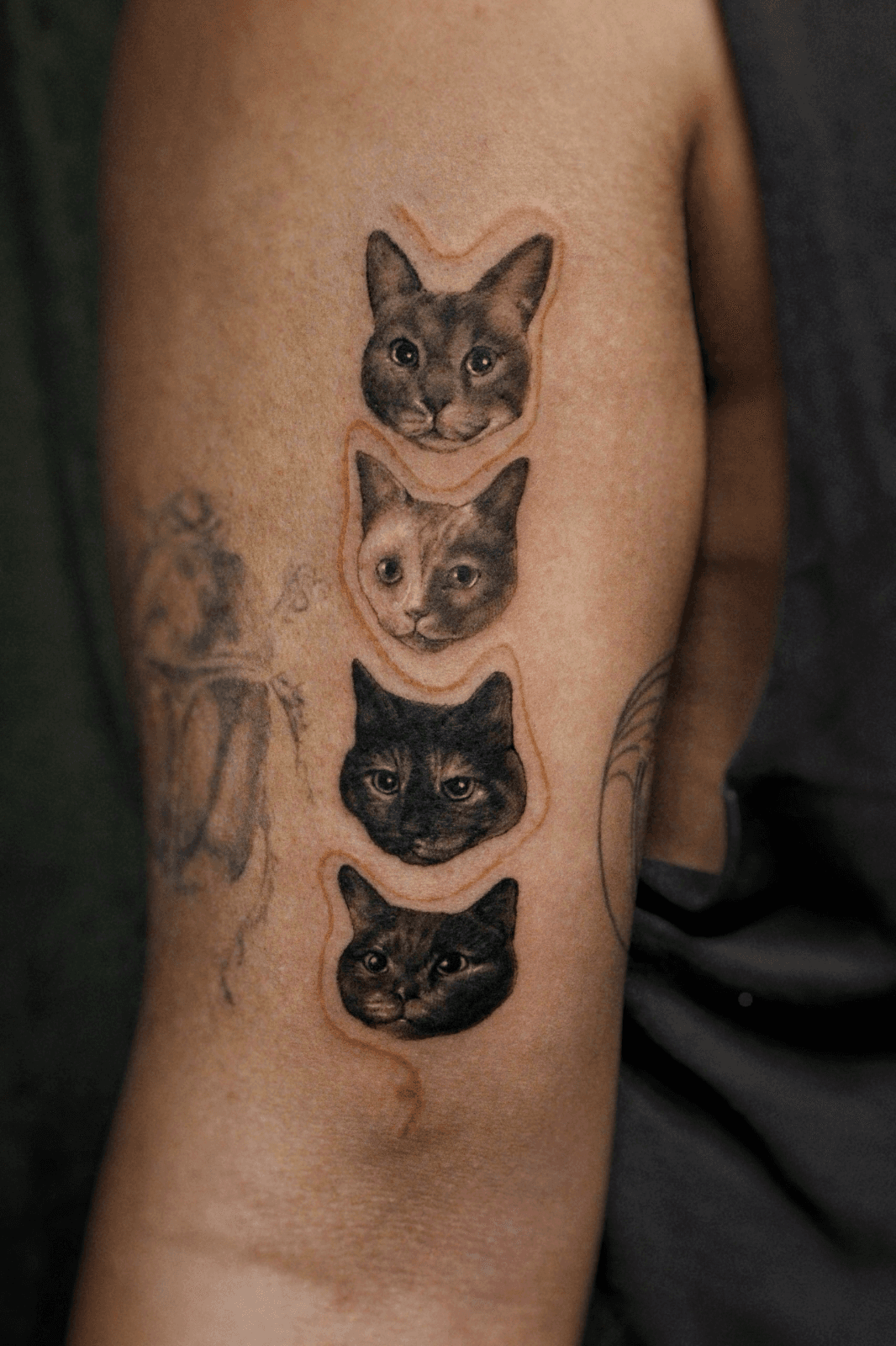 Work by Sena Altun